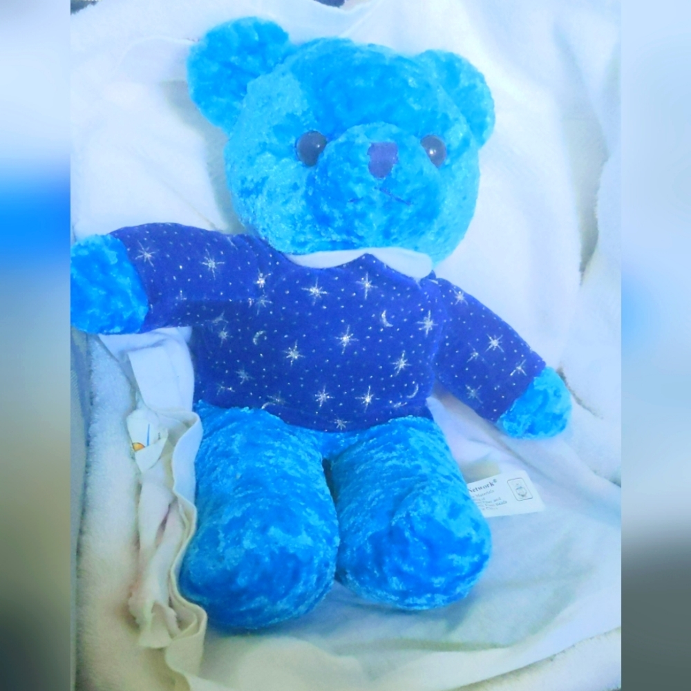 Suffed tebby bear from the toy network